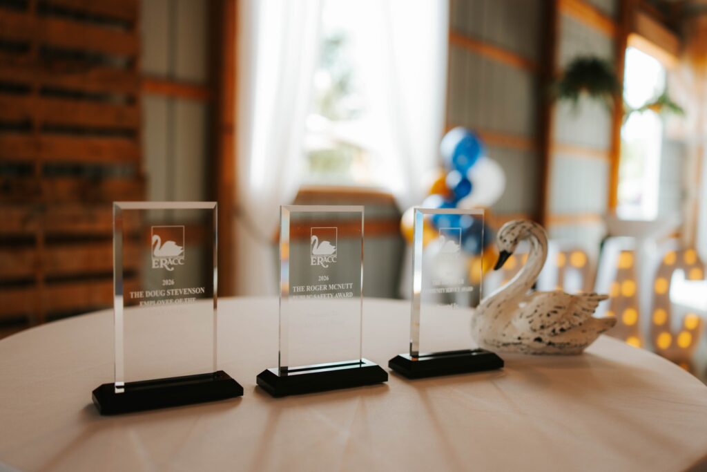 Three clear glass awards with black bases are displayed on a round table next to a decorative white swan, with a softly lit indoor background featuring wooden paneling and blue and yellow balloons.